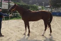 �����ٴ� (GUREUM BADA) ����