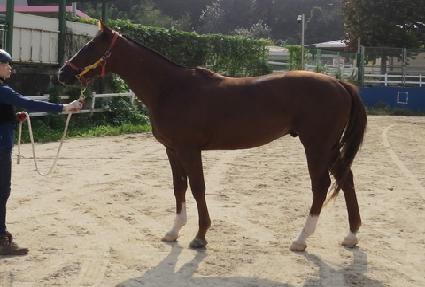 �����ٴ� ����