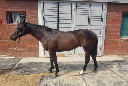 �����ǽ��ǵ� ����