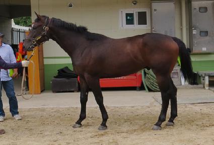 ����Ÿ�� ����