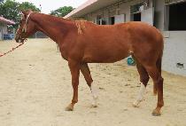 õ������ (CHEONJI YEOGEOL) ����