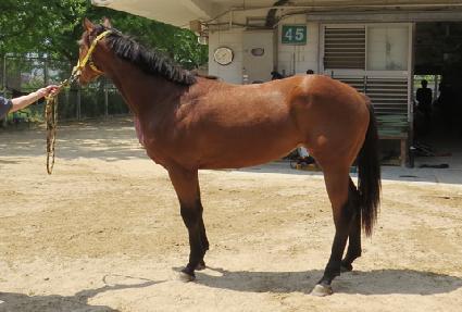 ������� ����