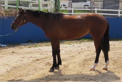 ����Ǯ��Ʈ ����