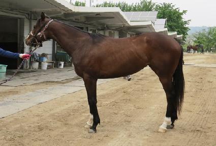 ��Ʈ�շ��� ����