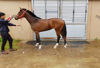 ����Ǯ�÷��� ����