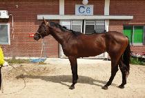 GOOD BANK LUCKY picture