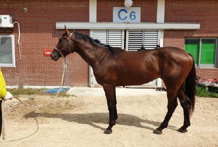 �¹�ũ��Ű ����