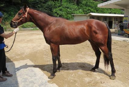 ���ø�Ʈ���� ����