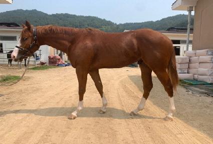 ��������ġ ����