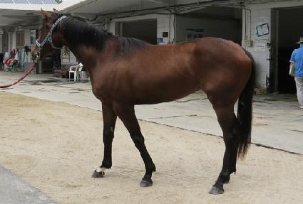 ������ ����