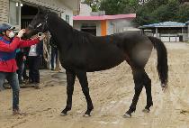 �ν��ͷ��� (BOOSTER ROCKET) ����