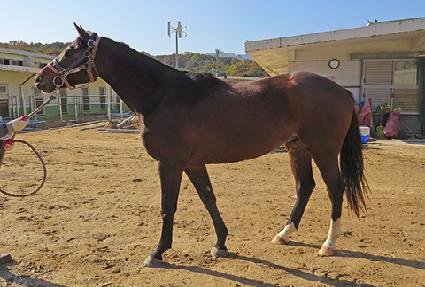 ������� ����