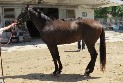 �̻��ϰ��� ����