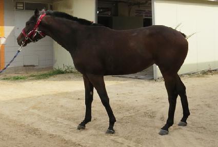 �����ũ ����