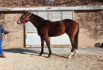 ��������̵� ����