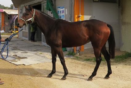 û����ũ ����