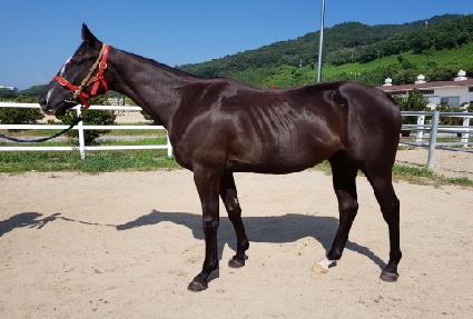 ĸƾ�� ����