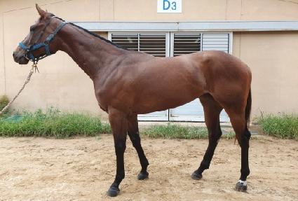 �Ѷ��ȣ ����