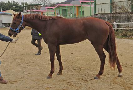 ����Ǯ���� ����