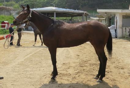 ������Ÿ ����