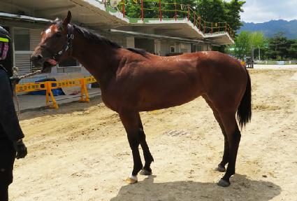 ���𷯽� ����