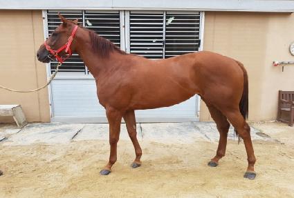 �Ƶ�������ũ ����