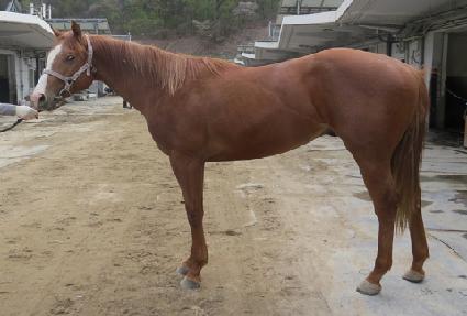 �Ѽ����� ����