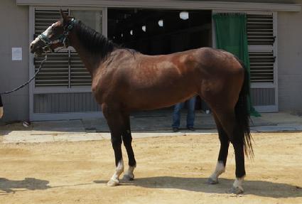 ��Ϲ��͹ٺ� ����