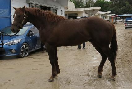 �׹�����Ʈ ����