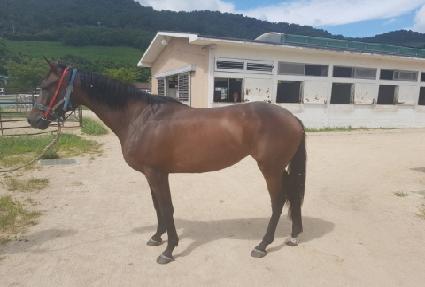 �������Ÿ ����