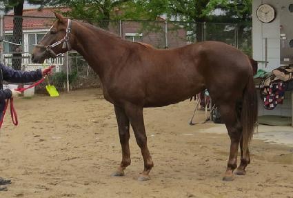 �����÷��̽� ����