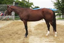 �������� (NEUL CHAOREUM) ����