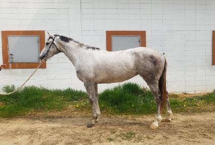 �Ѽ��÷��� ����