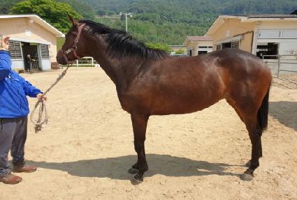 �������۽�Ʈ ����