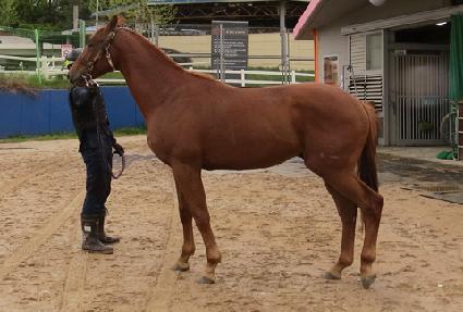 ���������� ����