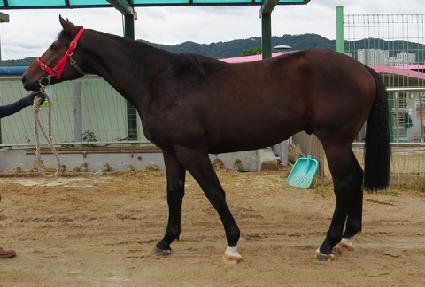 ���ۿ� ����