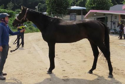 ŷ������ ����