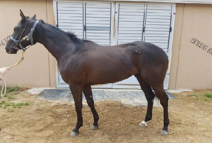 ����������� ����