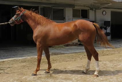 �������̿� ����