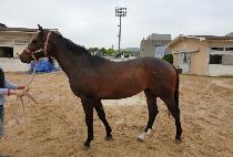 PERFECT KOREA picture