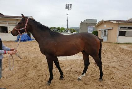 ����Ʈ�ڸ��� ����