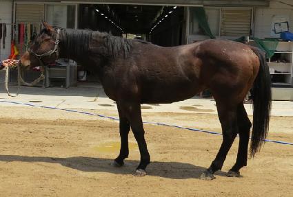 ������ ����