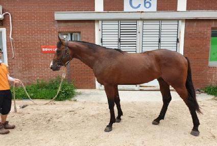 �̱۽�Ÿ ����