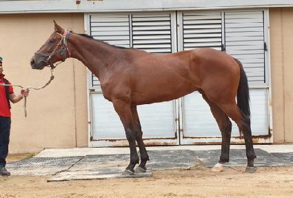 �帲��ġ ����