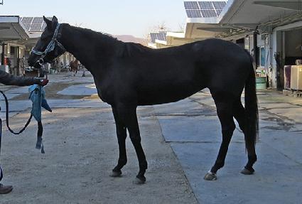 ���̱۸��� ����