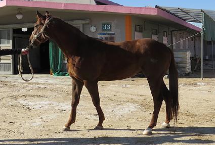 ������ŷ ����