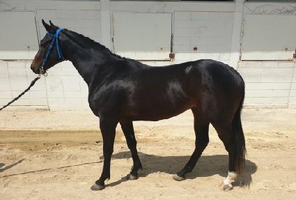 ŷ���� ����