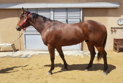 �������̳ʸ� ����