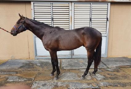 ���״��� ����