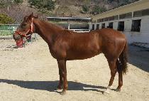 ���Ǽ� (HAPPY SONG) ����